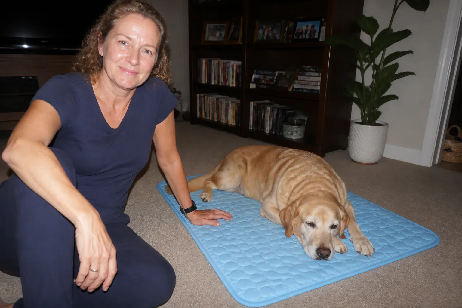 Amanda T.'s dog on the cooling mat