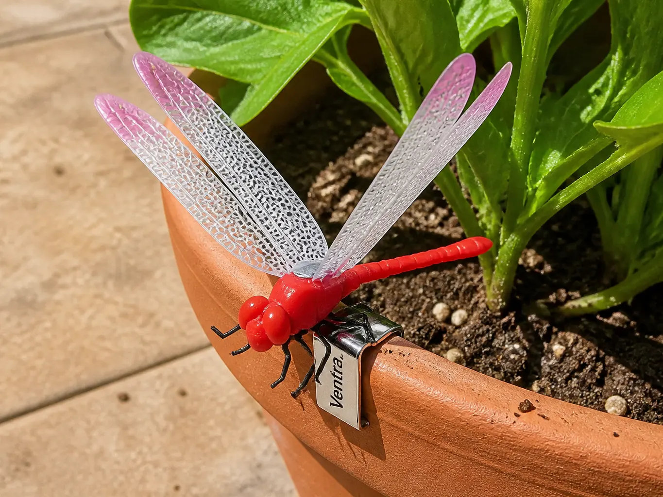 Close-up of securely attached mesh wings