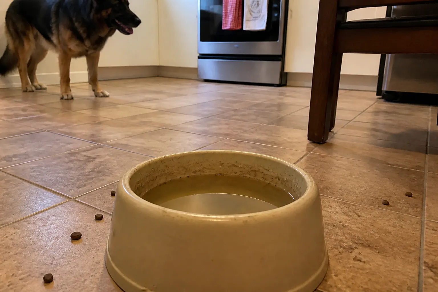 Slimy plastic bowl interior