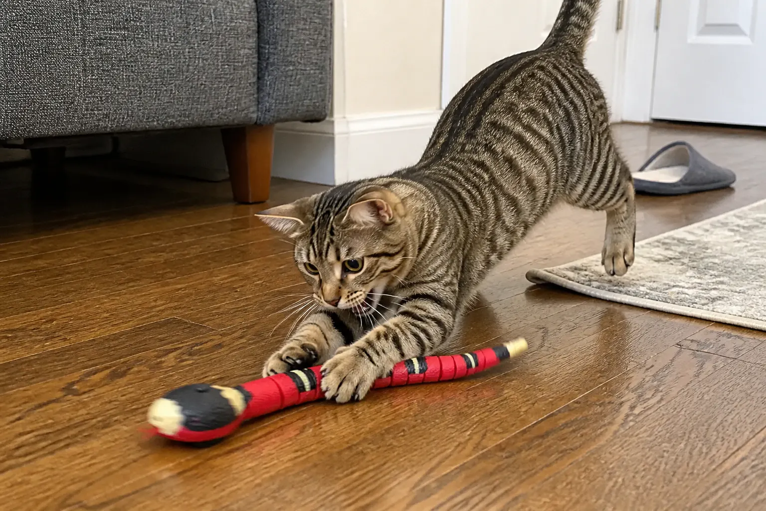 Cat pouncing on the Ventra snake toy mid-chase