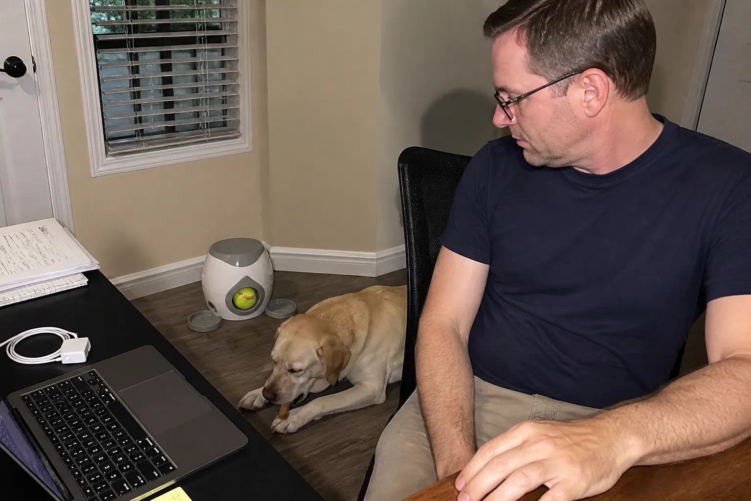 German Shepherd using the machine at home