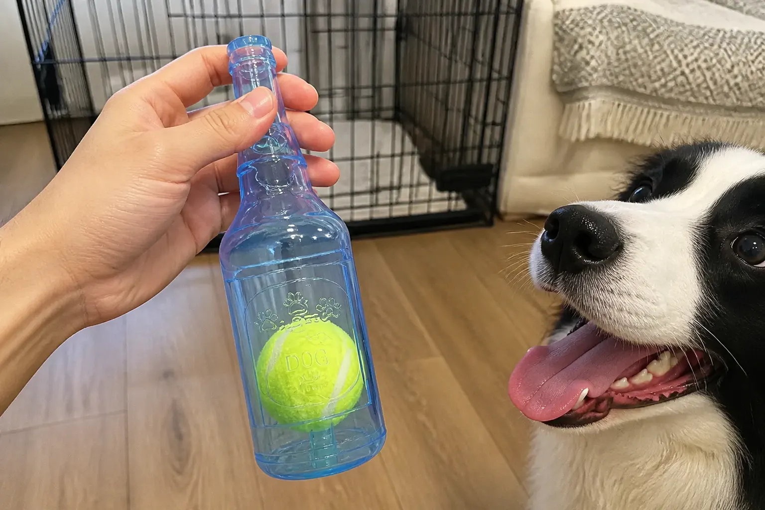 Dog gripping the bottle neck and shaking it