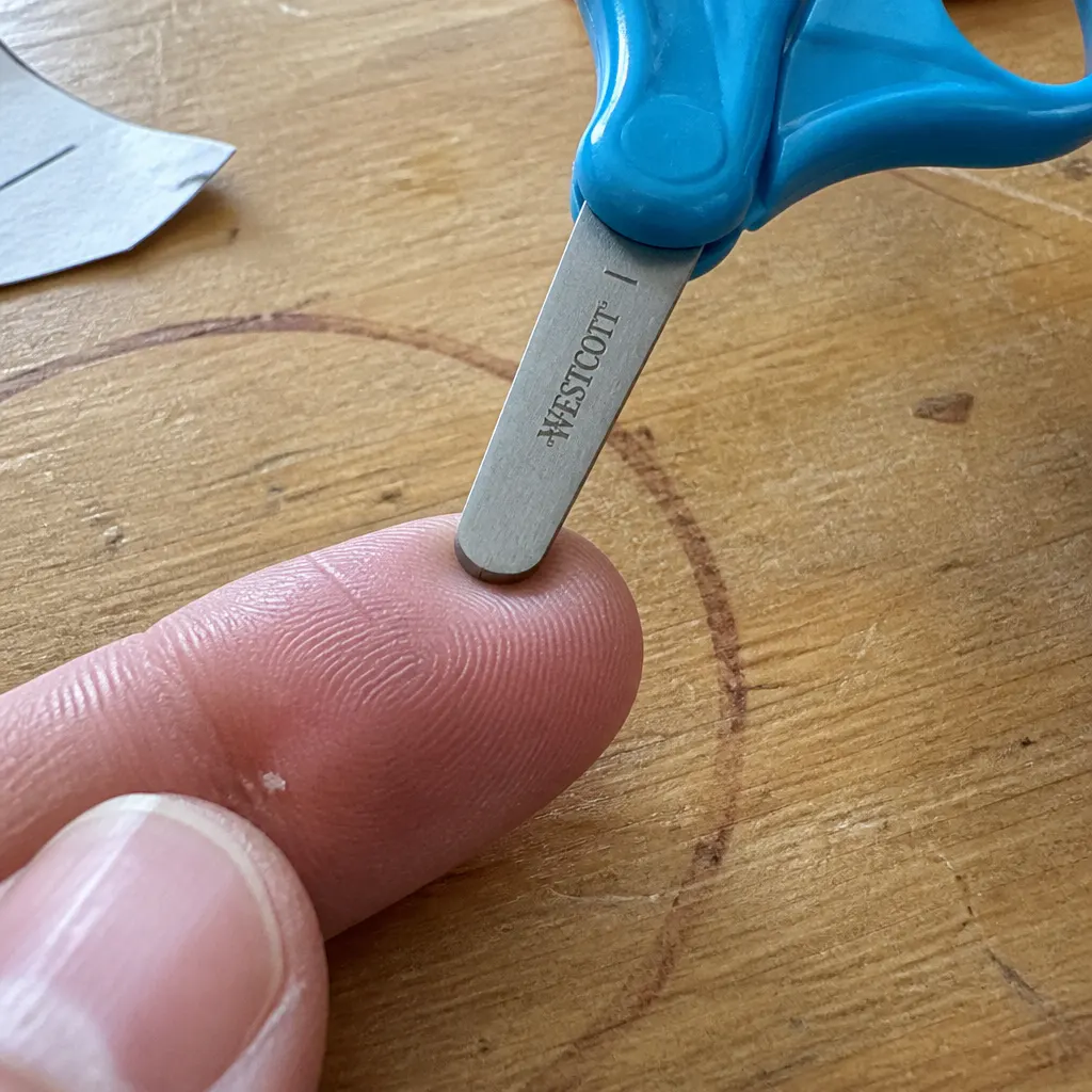 Close-up of the rounded blunt tip