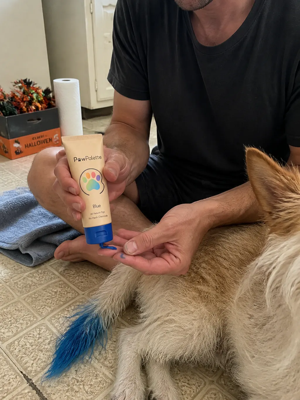 Dog with brightly colored paws at home