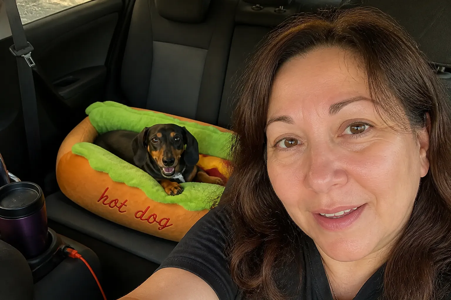 Pet in the hot dog bed