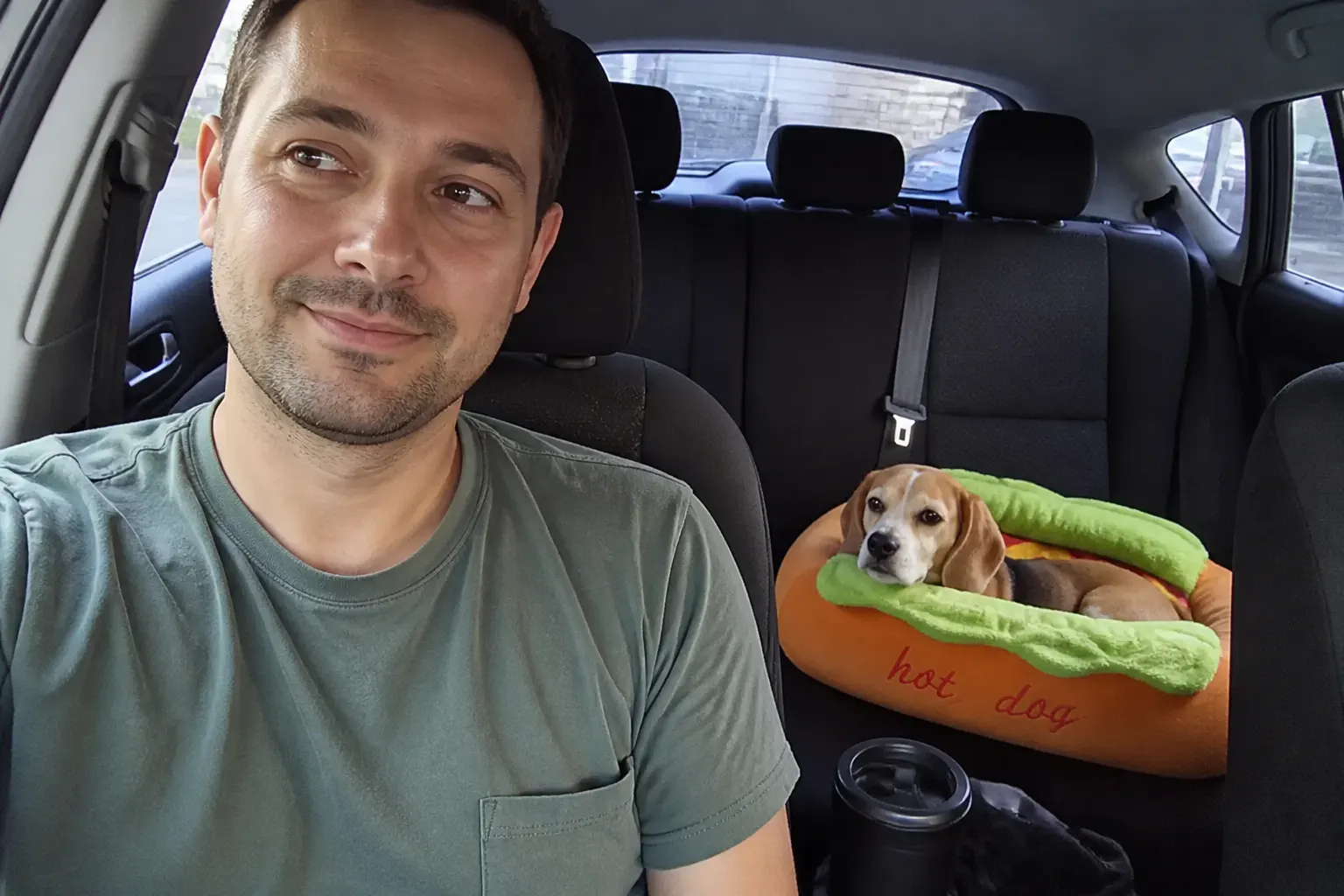 Pet in the hot dog bed