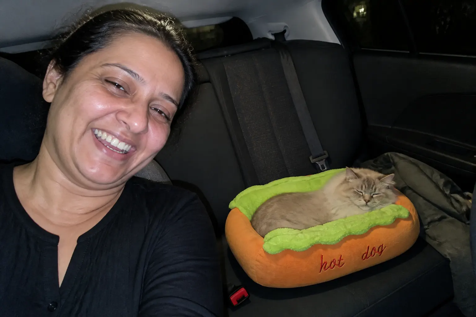Pet in the hot dog bed