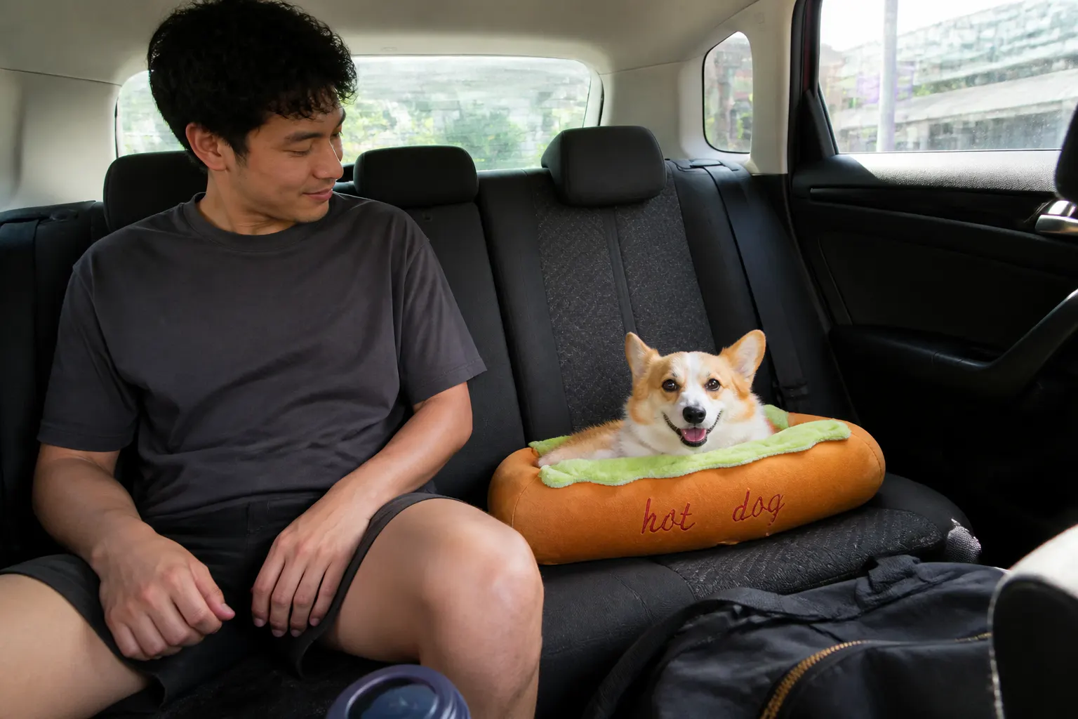Pet in the hot dog bed