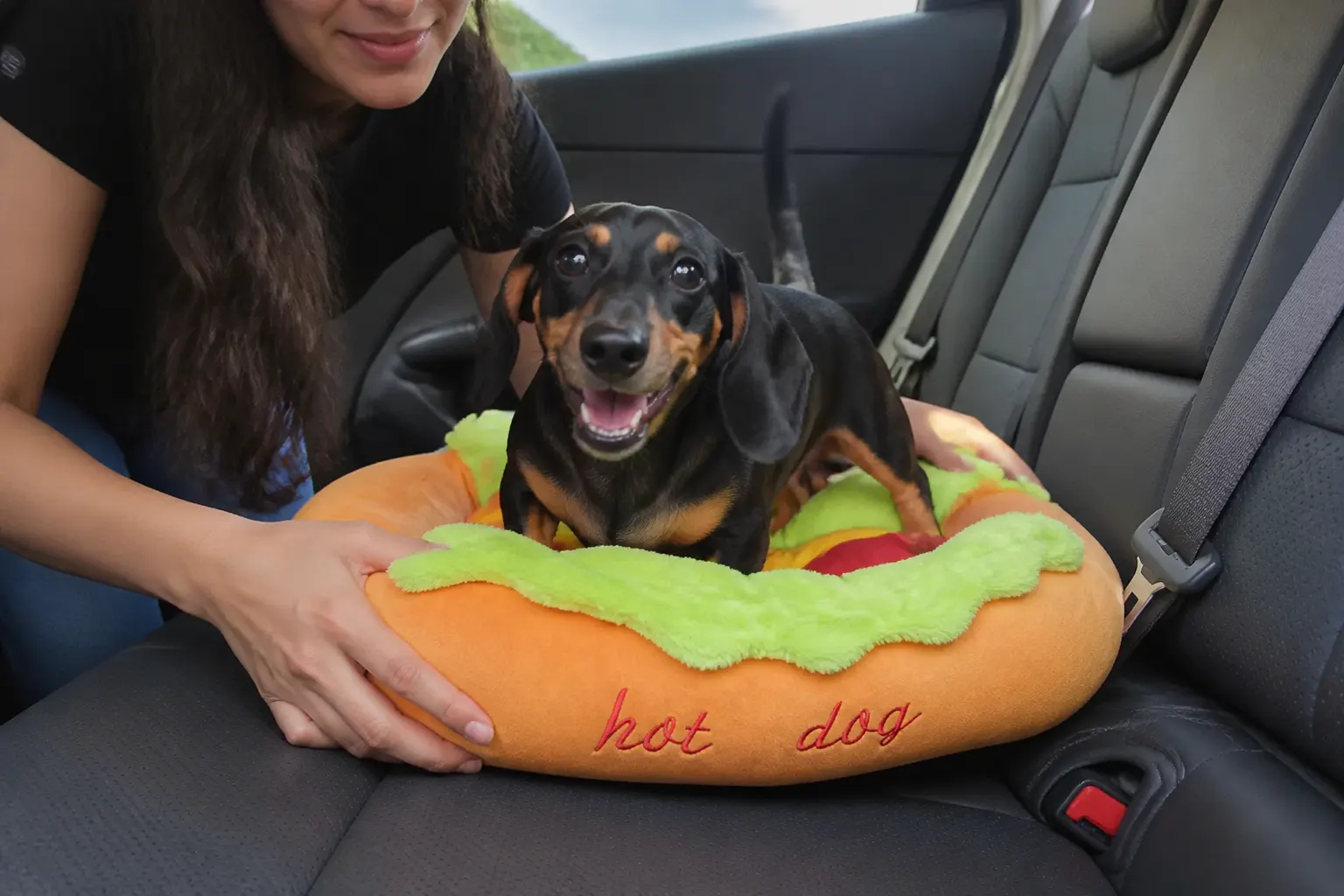 Pet in the hot dog bed
