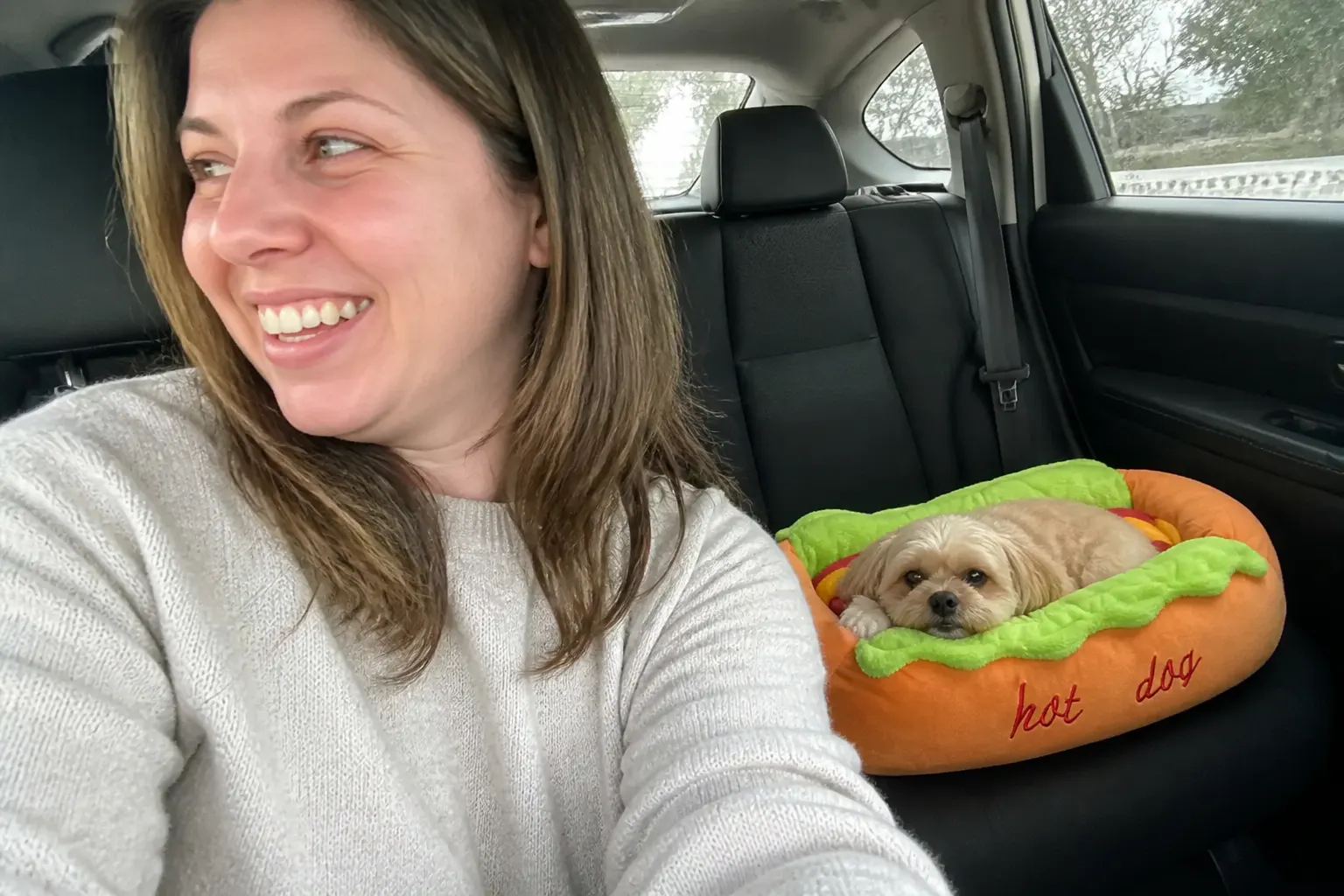 Pet in the hot dog bed