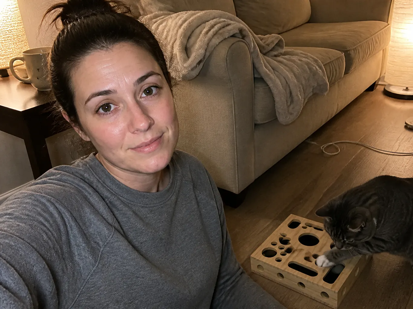 Large adult cat with a paw in the wooden nail box
