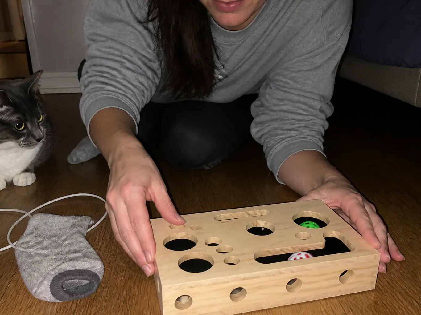 Cat reaching into the nail box beside a couch in a living room