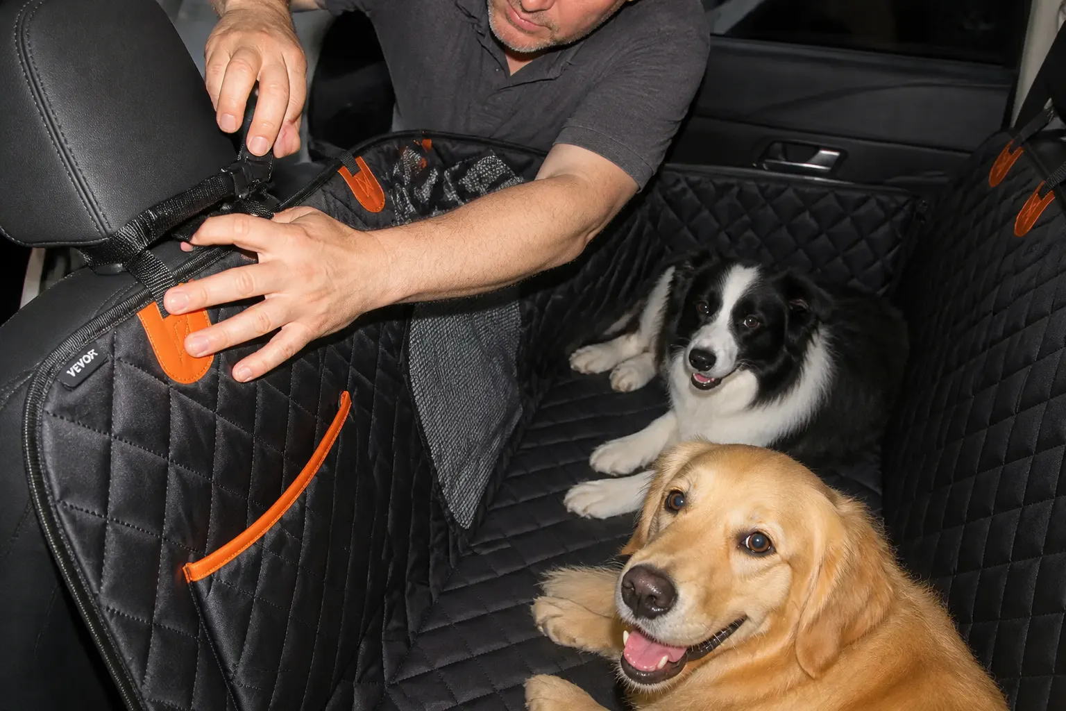 Two dogs sharing the cover in a crossover back seat