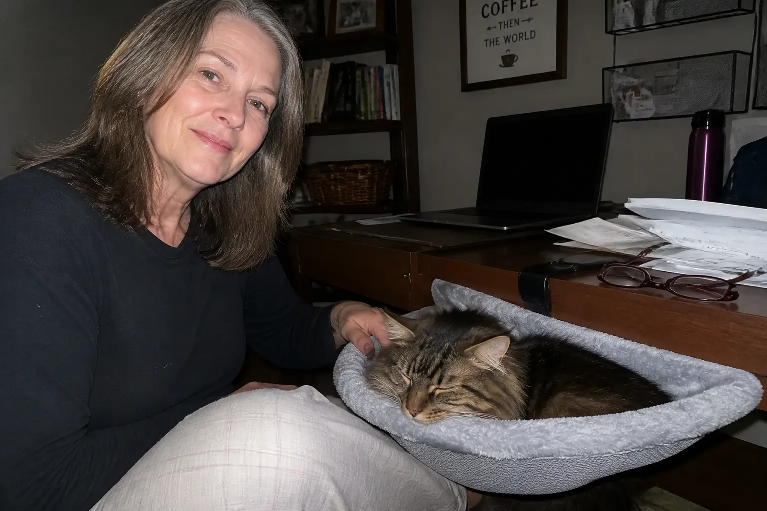 Bethany R. cat in DeskNest