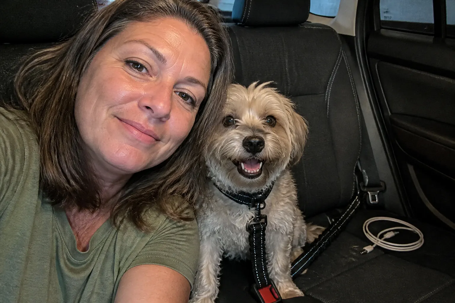 Amanda K.'s dog clipped in