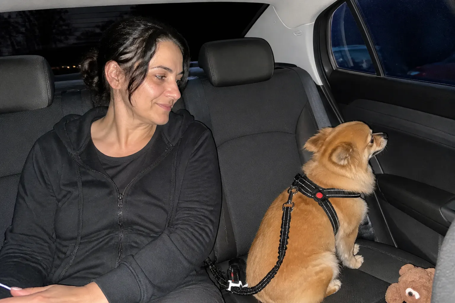 Priya S.'s dog clipped in