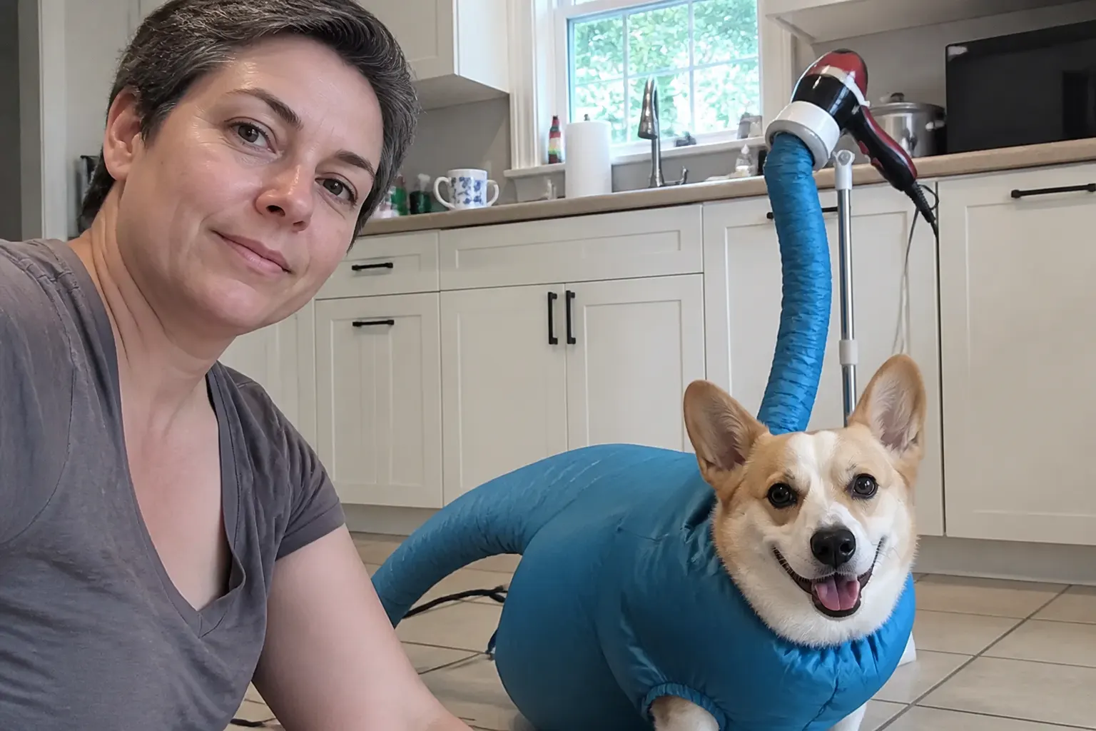 Dog using the DryPod