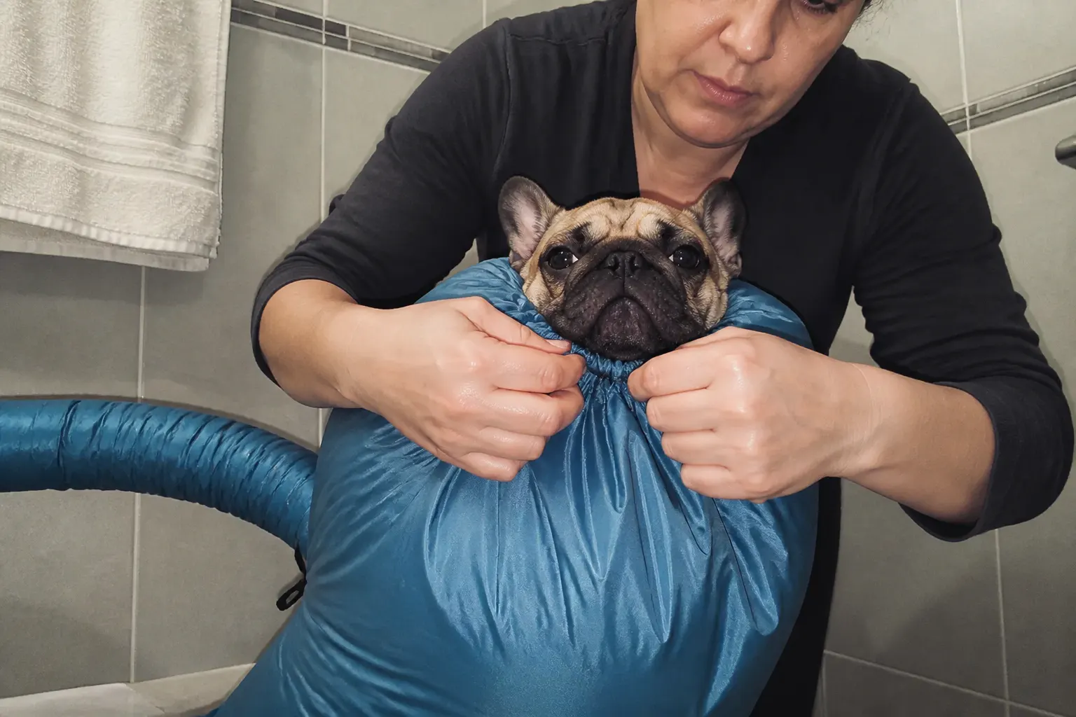 Dog using the DryPod