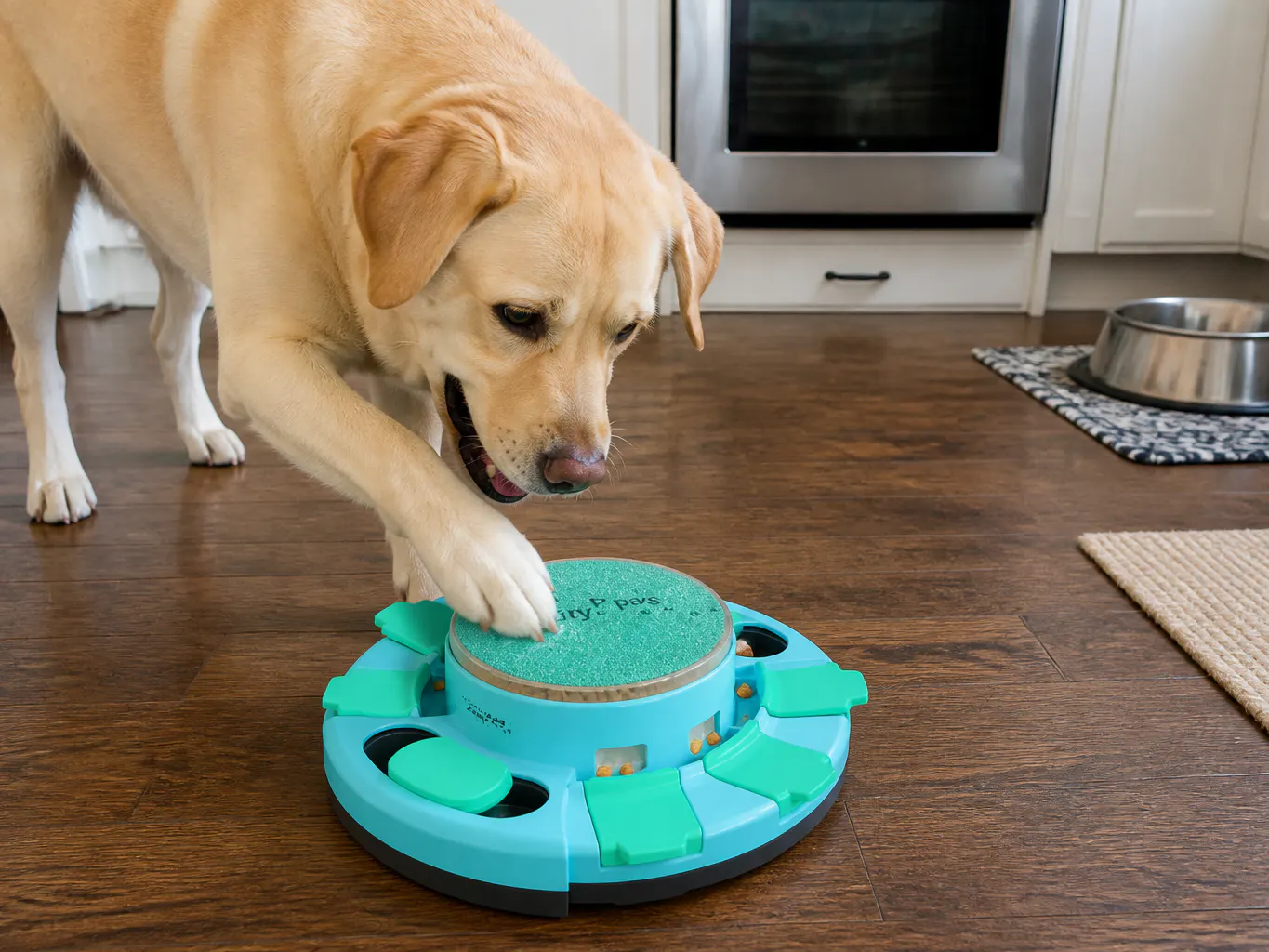He paws the emery lid