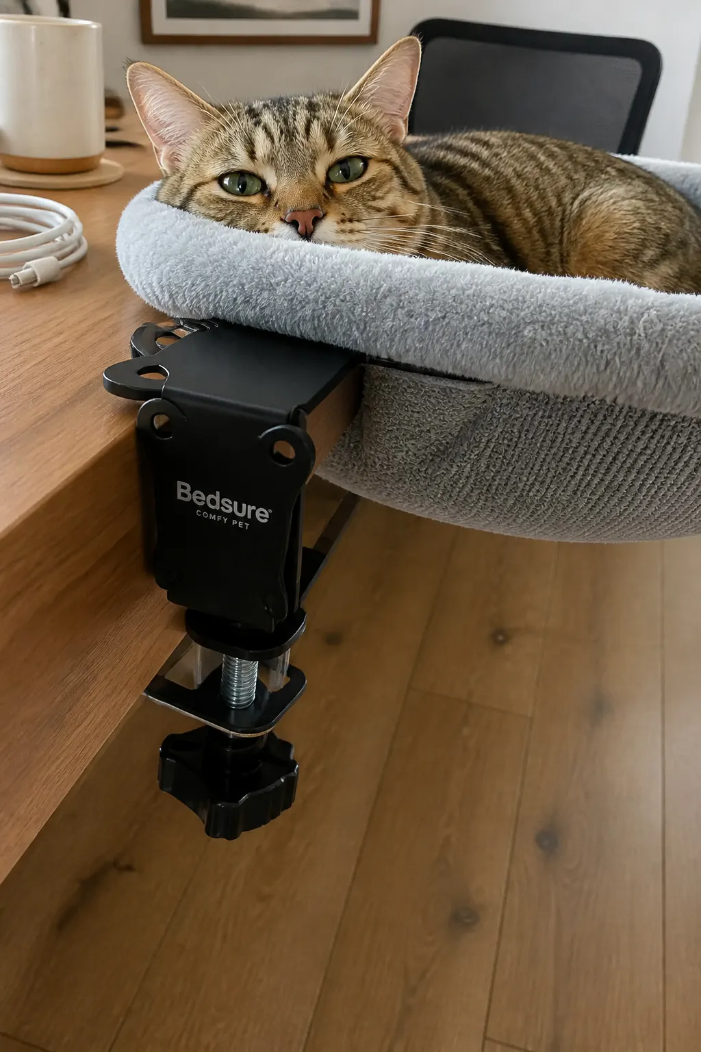 Close-up of the screw-clamp gripping the underside of a desk edge with a cat resting in the bed above
