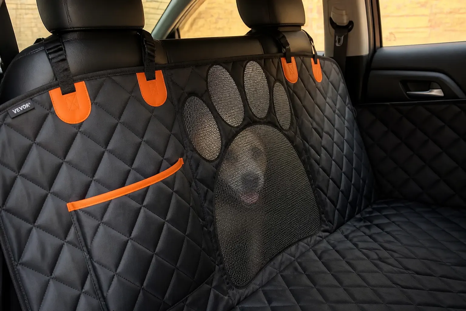 A dog visible through the mesh window looking toward the driver