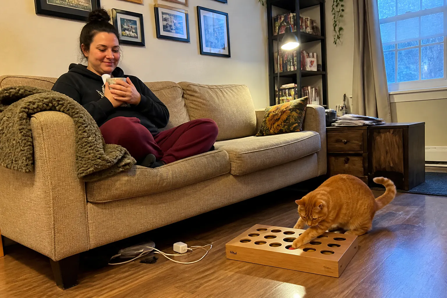 Cat absorbed batting the maze toy on the floor while the owner sits relaxed with coffee in the background
