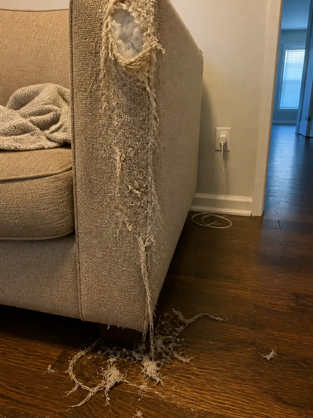 Living room corner with a frayed and pulled couch arm