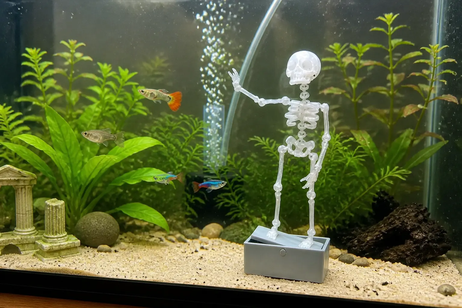 Dancing skeleton swaying in a lively home aquarium