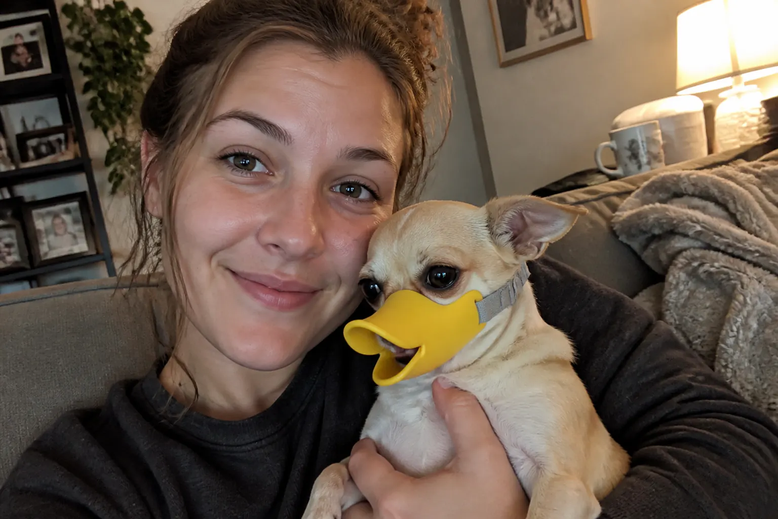 Marisol G.'s dog wearing the muzzle