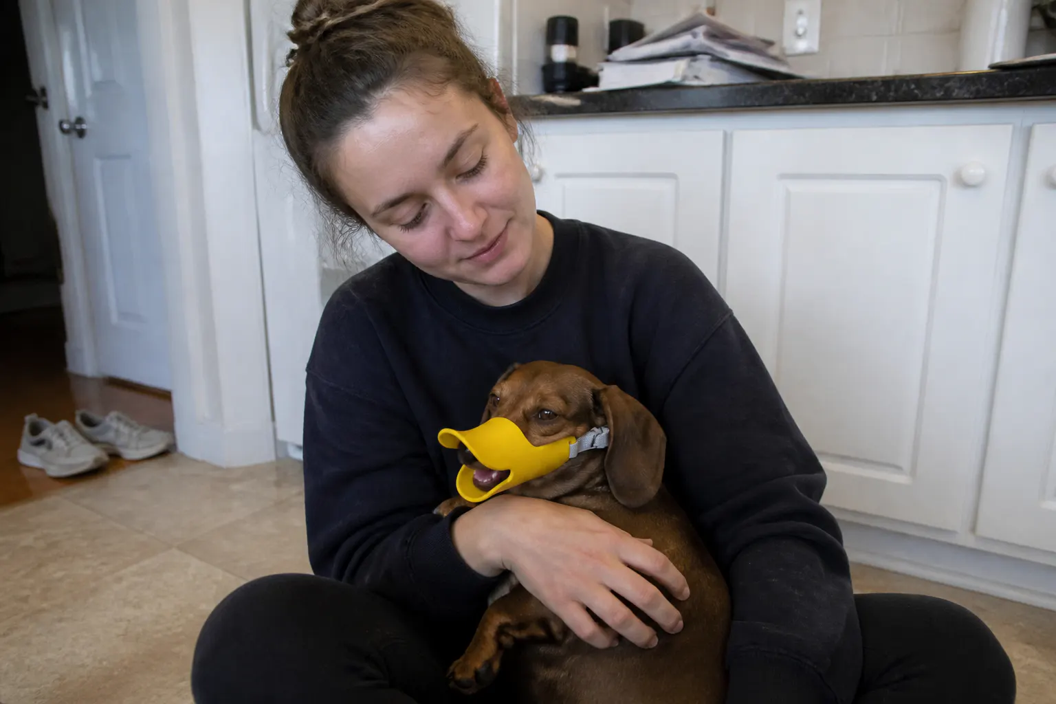 Aisha R.'s dog wearing the muzzle