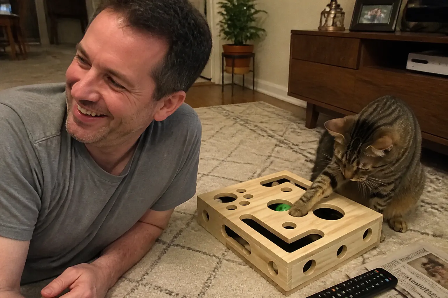 Cat playing with the maze toy - Carlos V.