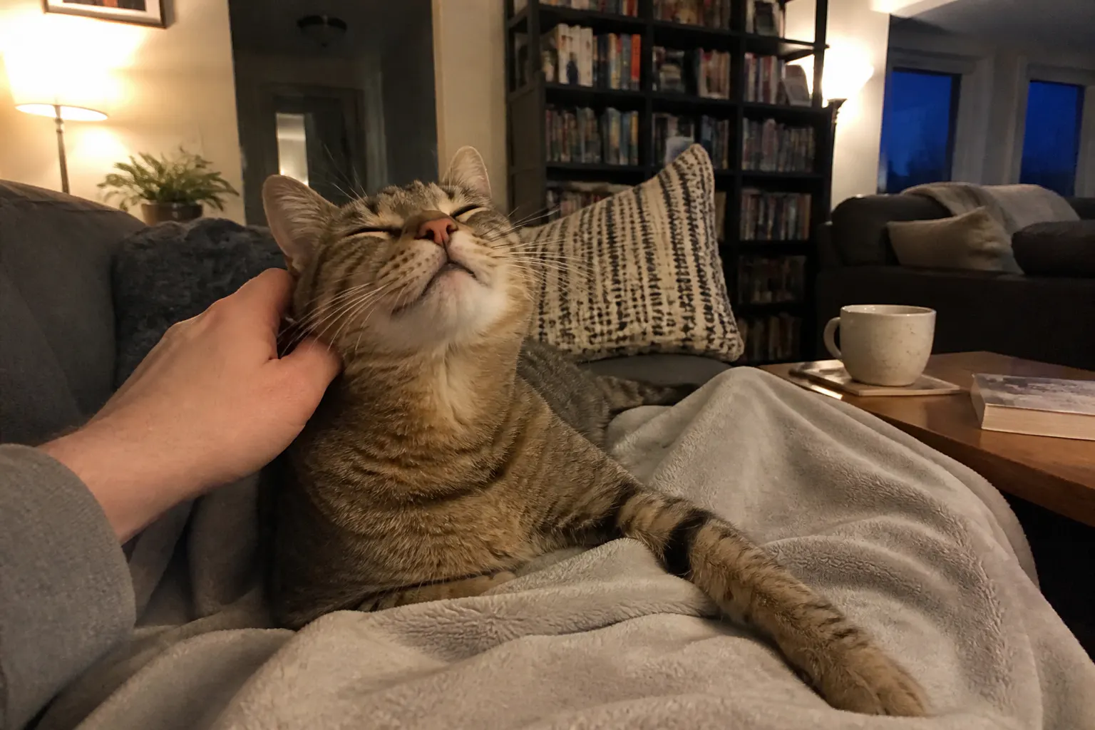 Relaxed cat leaning into the massager