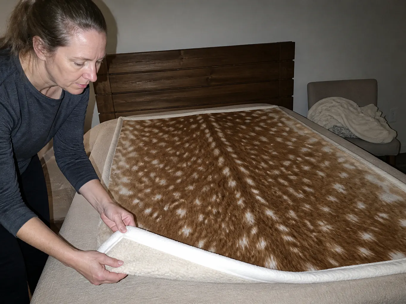 A cat settled on the CabinThrow on a lamp-lit couch
