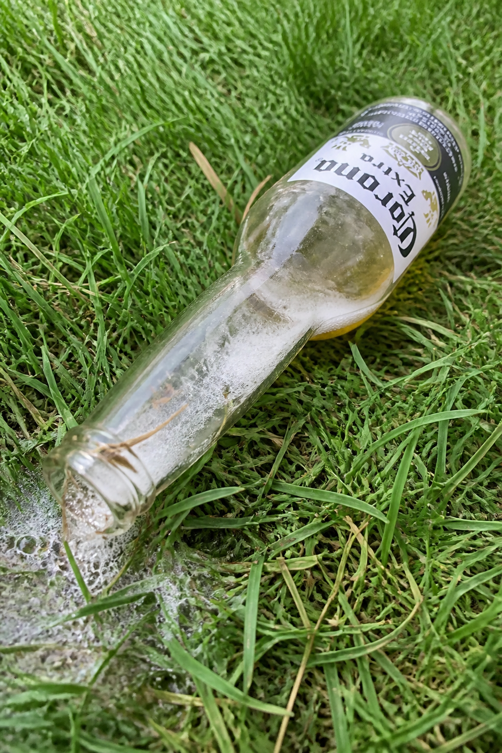 Beer bottle left in the grass while hands are full