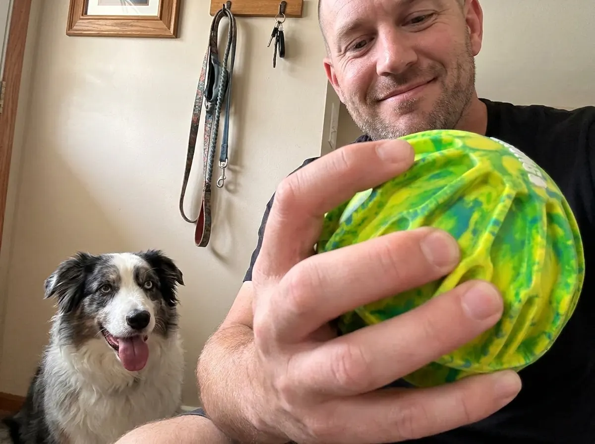 Australian Shepherd with the ball
