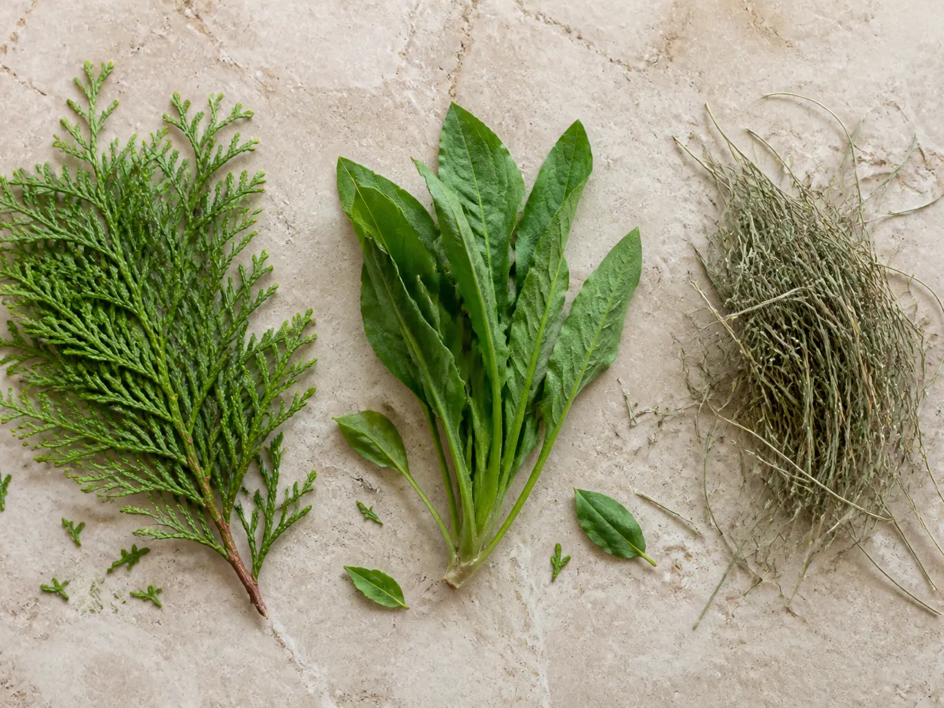 A natural herbal formula.
